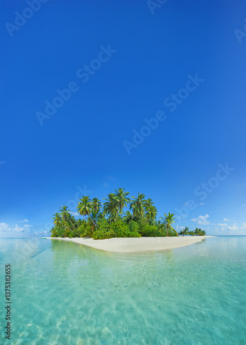 Fototapeta Naklejka Na Ścianę i Meble -  Palm trees and clean, transparent turquoise water on the Beautiful maldives tropical island - big poster with copy space.