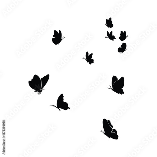 Butterfly flying silhouette with vector