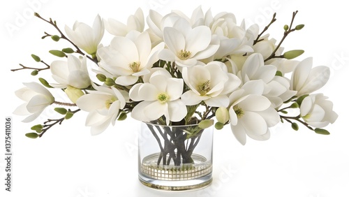 Luxury Pearl-White Magnolia Flowers Arranged in a Designer Vase, Isolated on a White Background, exuding modern sophistication and timeless elegance, Clean and Sophisticated Modern Decor Stock Photo 