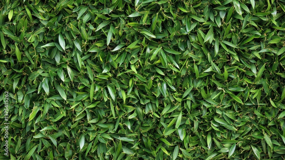 Vibrant green leaves lush garden stock photo natural setting close-up view chaos of nature Vibrant green leaves lush garden stock photo natural setting close-up view chaos of nature