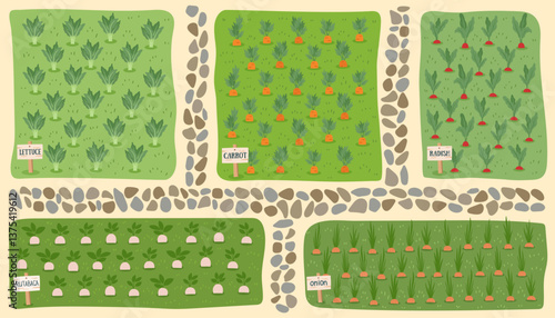 Gardening and farming concept background. Nature background with beds of vegetables. Regenerative and sustainable farming concept. Vector flat background.