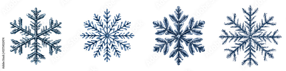 Elegant and intricate snowflake crystals against a white background Elegant and intricate snowflake crystals against a white background