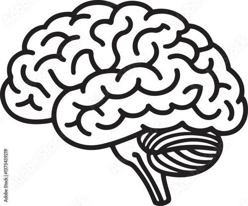 Outlined Illustration of a Brain Depicting Cognitive and Neural Processes