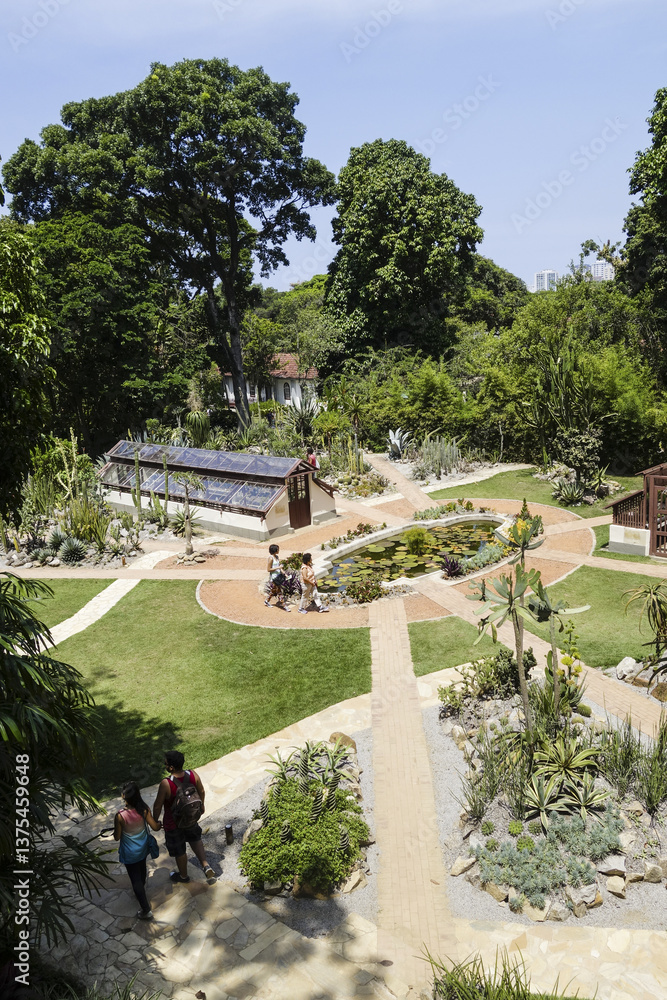 Rio de Janeiro, Botanischer Garten, Jardim Botanico, Sukkulenten