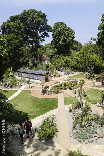 Obraz na płótnie Rio de Janeiro, Botanischer Garten, Jardim Botanico, Sukkulenten w salonie
