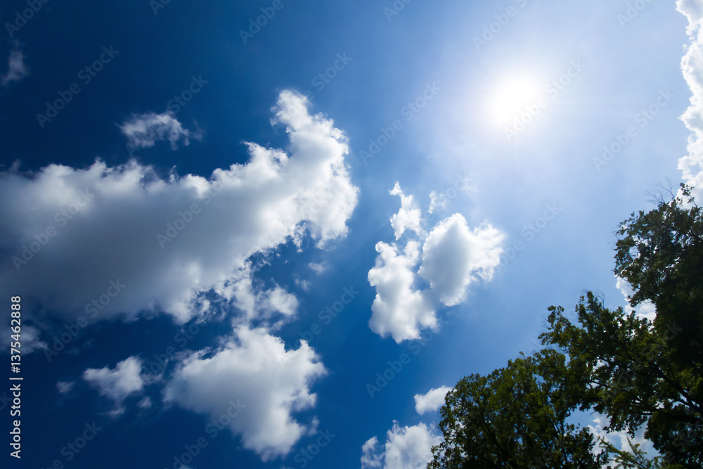 Fototapeta premium Daytime Beautiful Blue sky with fluffy cumulus clouds, framed by lush green trees, for a background