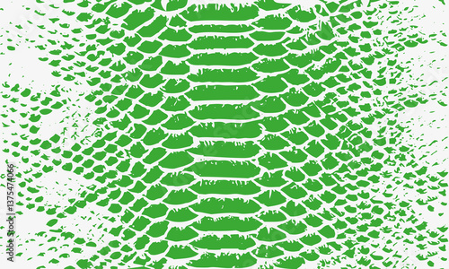 Texture pattern green white snake crocodile reptile seamless repeat. Amazing hand drawn vector illustration. Print