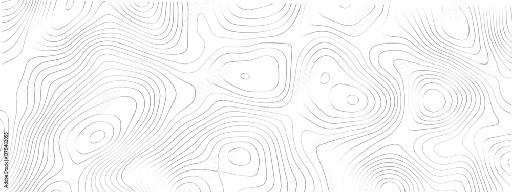 Fototapeta premium Detailed Sea Map with Geometric Lines and Topography, Featuring a Mounted Grid Pattern to Depict Area Space and Landscape Topos 