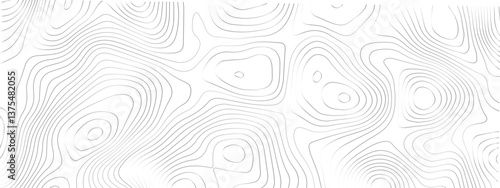 Detailed Sea Map with Geometric Lines and Topography, Featuring a Mounted Grid Pattern to Depict Area Space and Landscape Topos
