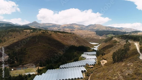 Stunning aerial footage of a rose greenhouse nestled amidst the Ecuadorian Andes mountains. Perfect for projects on flower cultivation, agriculture, and the natural beauty of South America.