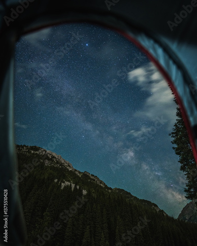 view of the starry sky from a tent