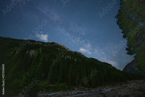 starry sky in the forest in the mountains