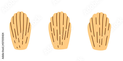Classic French madeleine cookie vector illustration set in flat style, featuring gourmet pastry clip art for bakery and culinary design.
