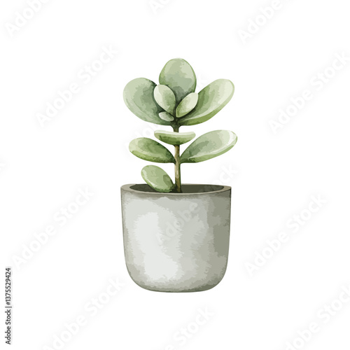 Succulent's Botanical Embra...