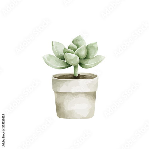 Minimalist Succulent in a P...