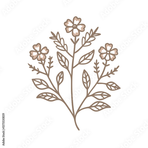 Ladies Smock Flower Line Art Illustration