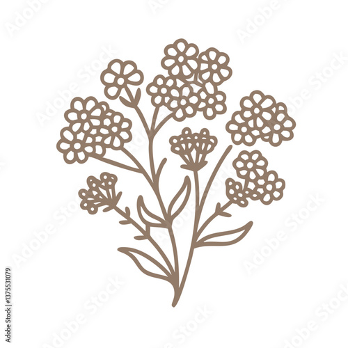 Minimalist Madwort Flower Line Art Illustration