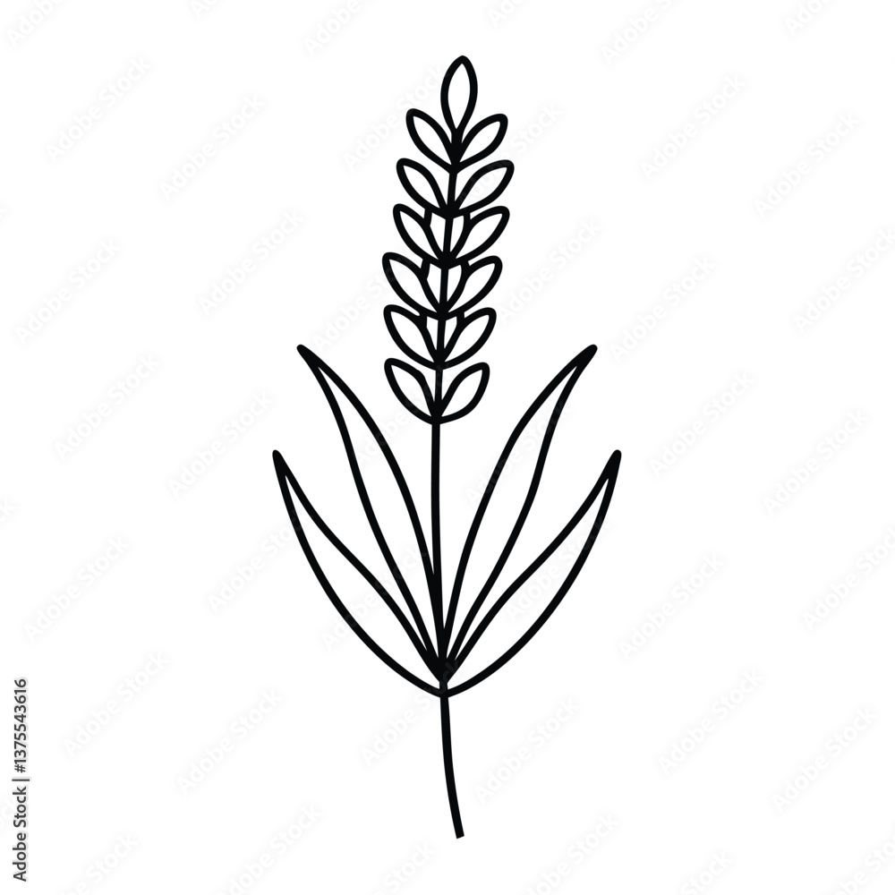 flower vector line art flower vector line art