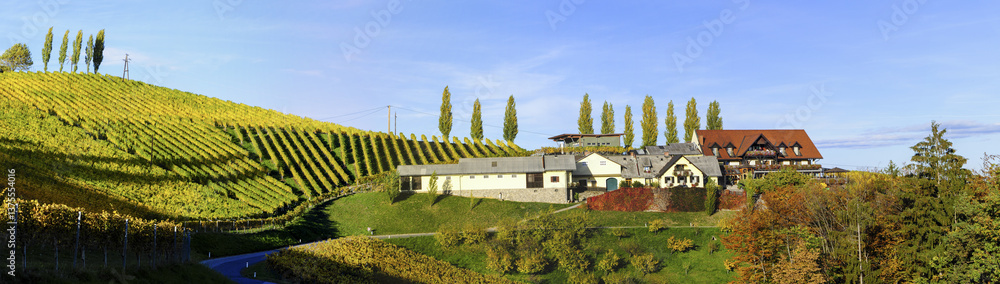 Südsteirische Weinstrasse im Herbst, Österreich, Steiermark, S