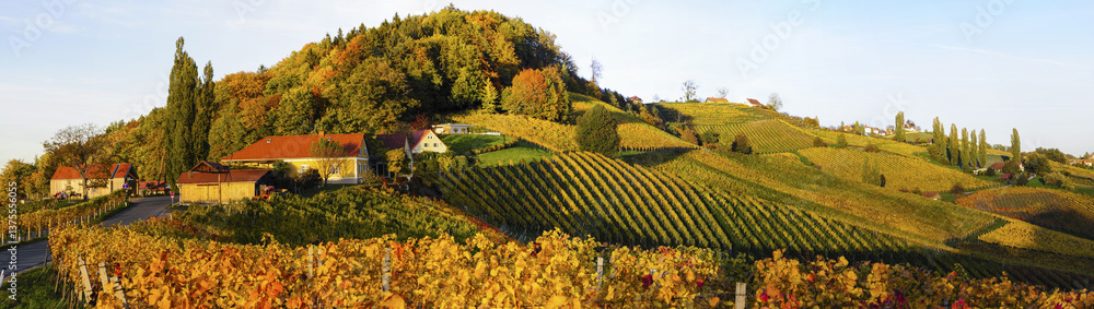 Südsteirische Weinstrasse im Herbst, Österreich, Steiermark, S