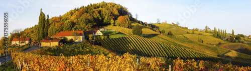 Obraz na płótnie Südsteirische Weinstrasse im Herbst, Österreich, Steiermark, S w salonie