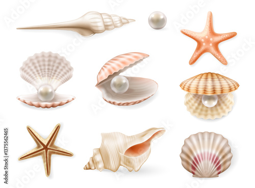 Summer seashells, beach sea shells. Vector in realistic style, collection assorted aquatic objects. Starfish and mollusk with pearls. Aquarium or underwater snorkeling view design, scallop