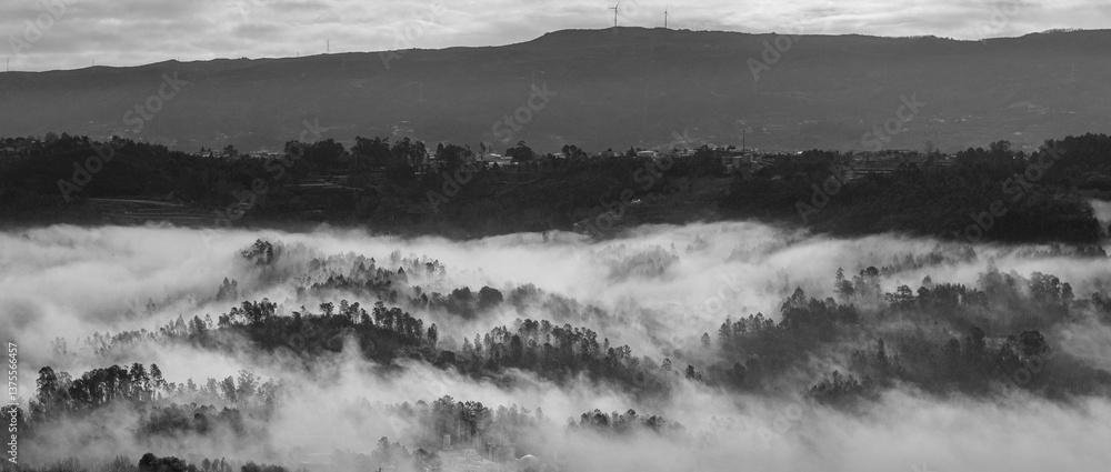 Fototapeta premium Misty Hills and Forests in Black and White