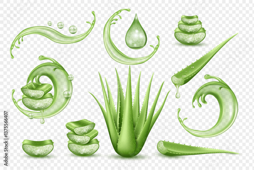 Aloe vera collection, medicinal evergreen leaves with clear gel. Vector isolated succulents with splashes and dots. Skincare and haircare, health and wellness, cosmetics and beauty products