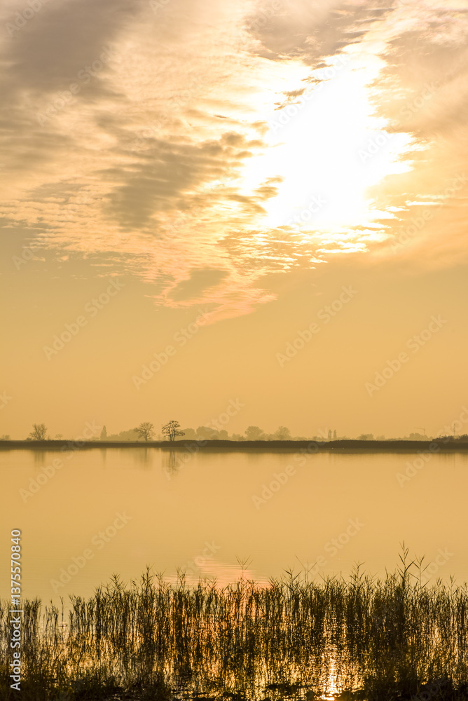 Pannonnisch, Seewinkel, Burgenland, Österreich
