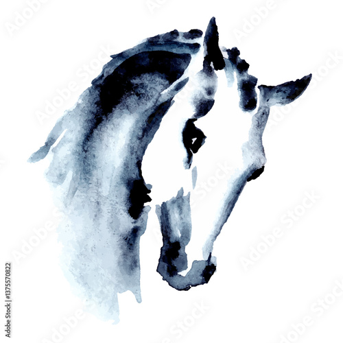 Watercolor or ink hand drawing dressage horse, pony, stallion or mare head. Hand painting vector graceful romantic stylish art. Horse riding hobby. Indigo color equine art silhouette