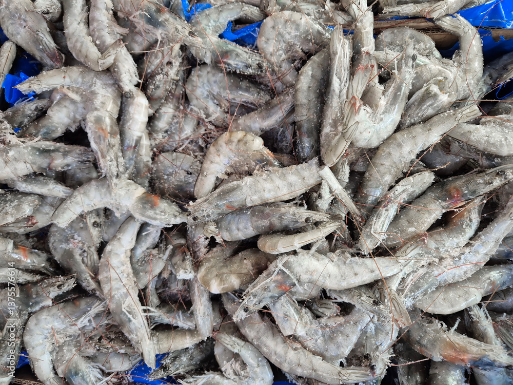 Frozen shrimps prawns. Raw shrimp background. Pile of frozen shrimps background. Frozen shrimps prawns. Raw shrimp background. Pile of frozen shrimps background.