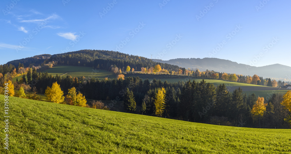 Vorau-Puchegg, Steiermark, Österreich, 2015