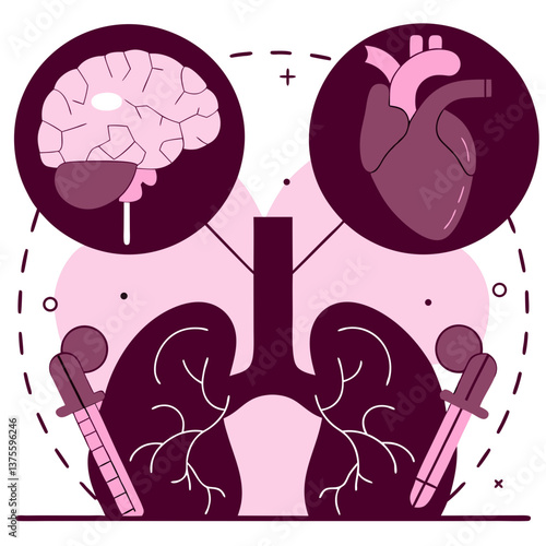 
Insulin  human body Vector