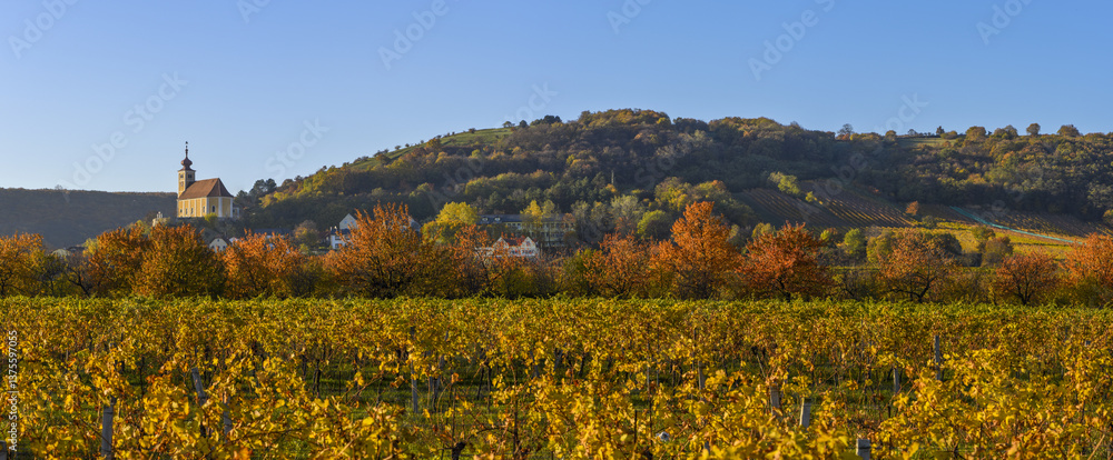 Weinbaugebiet, Donnerskirchen, Leithagebirge, Burgenland, Öster