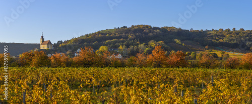 Obraz na płótnie Weinbaugebiet, Donnerskirchen, Leithagebirge, Burgenland, Öster w salonie