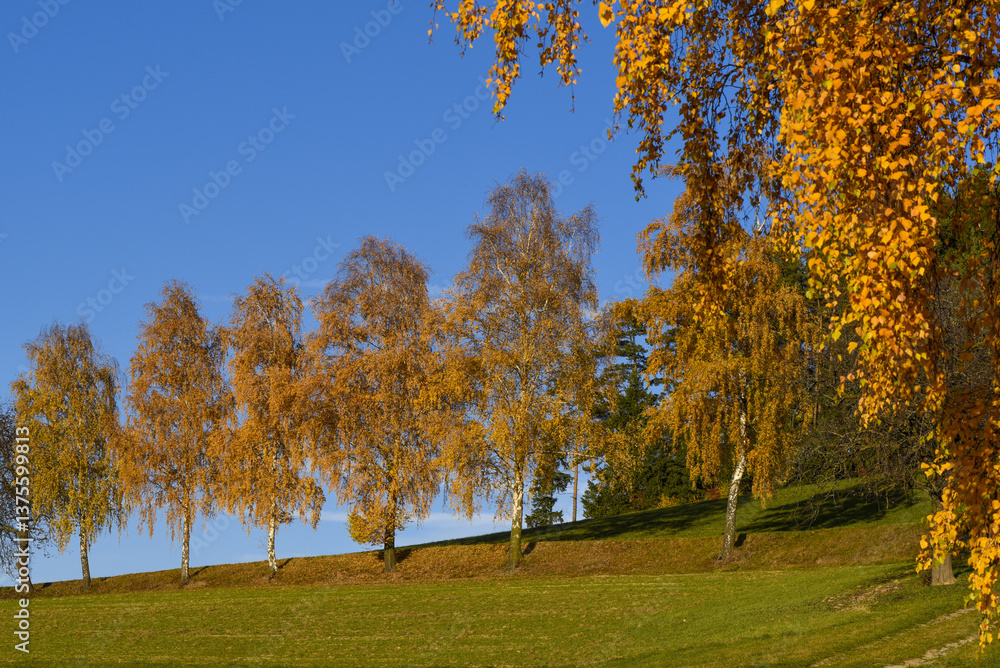 Vorau-Puchegg, Steiermark, Österreich, 2015