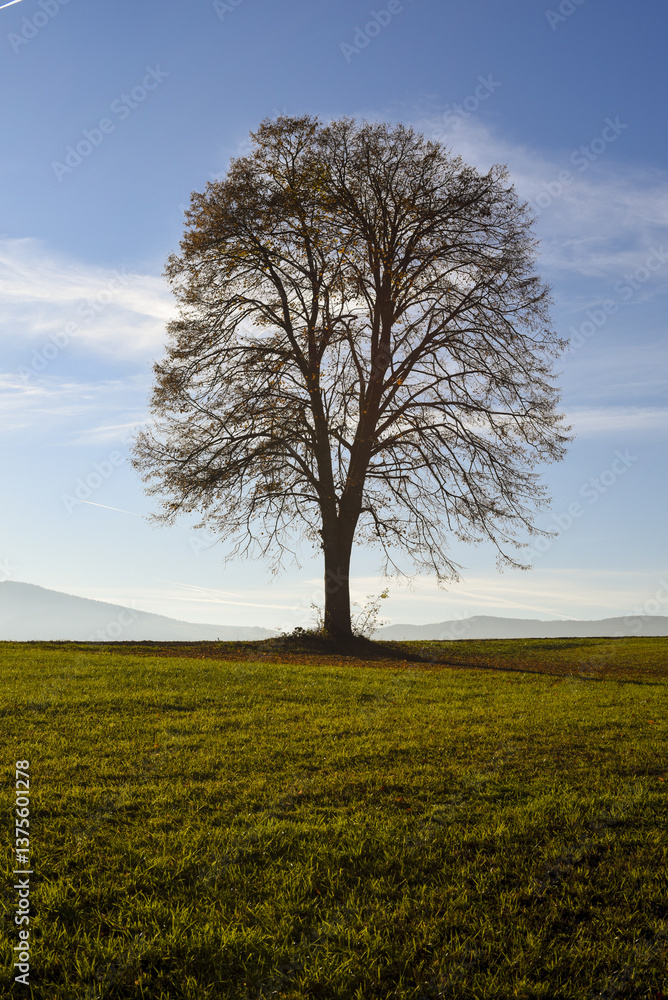 Vorau-Puchegg, Steiermark, Österreich, 2015