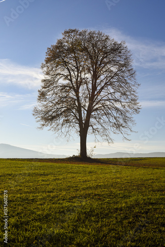 Obraz na płótnie Vorau-Puchegg, Steiermark, Österreich, 2015 w salonie