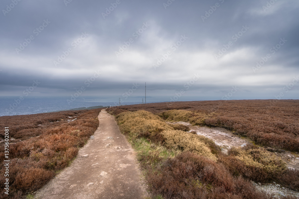 A peaceful and tranquil pathway meanders gracefully through rustic heathland, surrounded by muted colors and dramatic clouds, creating a beautifully serene landscape, Ticknock, Wicklow, Dublin