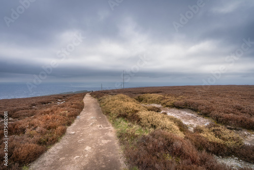 Obraz na płótnie A peaceful and tranquil pathway meanders gracefully through rustic heathland, surrounded by muted colors and dramatic clouds, creating a beautifully serene landscape, Ticknock, Wicklow, Dublin w salonie