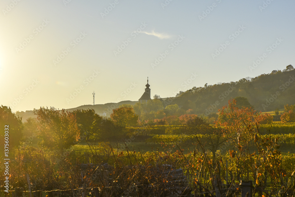 Weinbaugebiet, Donnerskirchen, Leithagebirge, Burgenland, Öster