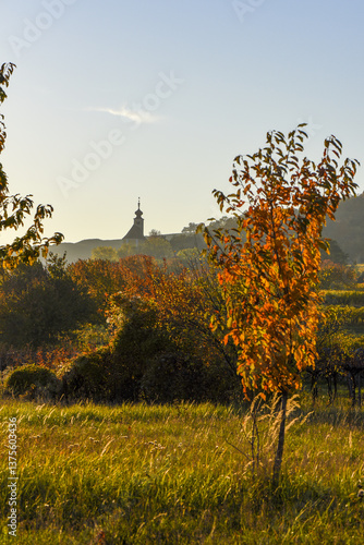 Obraz na płótnie Weinbaugebiet, Donnerskirchen, Leithagebirge, Burgenland, Öster w salonie