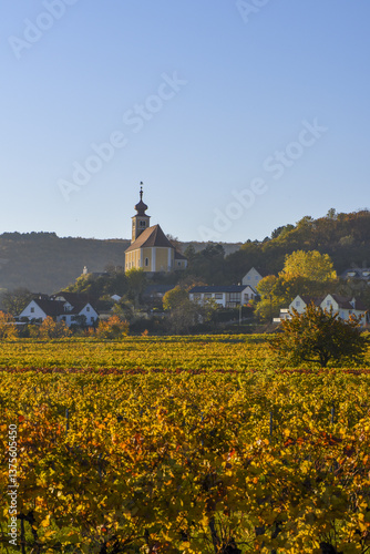Obraz na płótnie Weinbaugebiet, Donnerskirchen, Leithagebirge, Burgenland, Öster w salonie