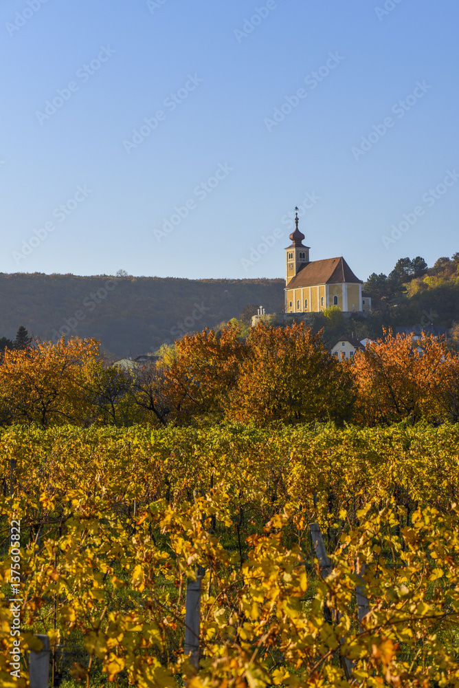 Weinbaugebiet, Donnerskirchen, Leithagebirge, Burgenland, Öster
