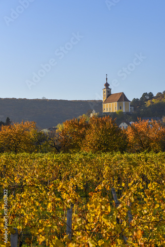 Weinbaugebiet, Donnerskirchen, Leithagebirge, Burgenland, Öster