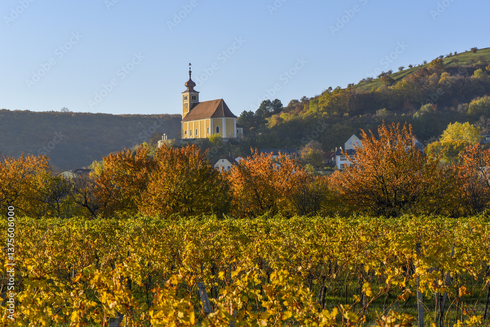 Weinbaugebiet, Donnerskirchen, Leithagebirge, Burgenland, Öster