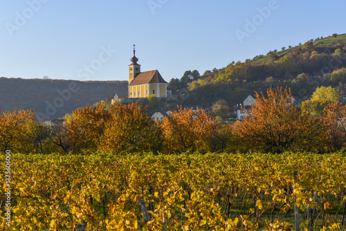 Obraz na płótnie Weinbaugebiet, Donnerskirchen, Leithagebirge, Burgenland, Öster w salonie