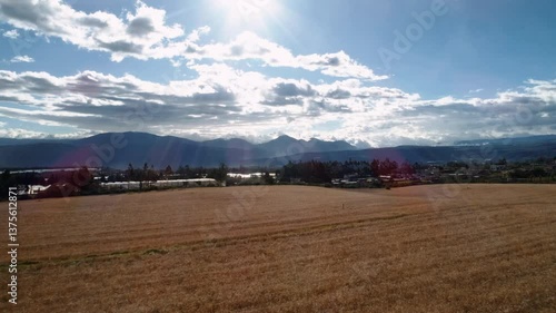 Stunning aerial footage of expansive wheat fields nestled within the Ecuadorian Andes mountains. Ideal for projects showcasing high-altitude agriculture, unique landscapes, and South American farming.