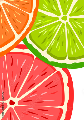 illustration of some citrus fruits