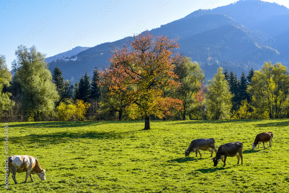 Hall, Ennstal, Steiermark, Österreich, 2015